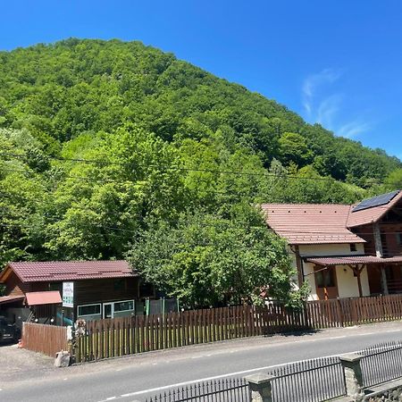 Pensiunea Casa Transalpina Sugag Exterior photo