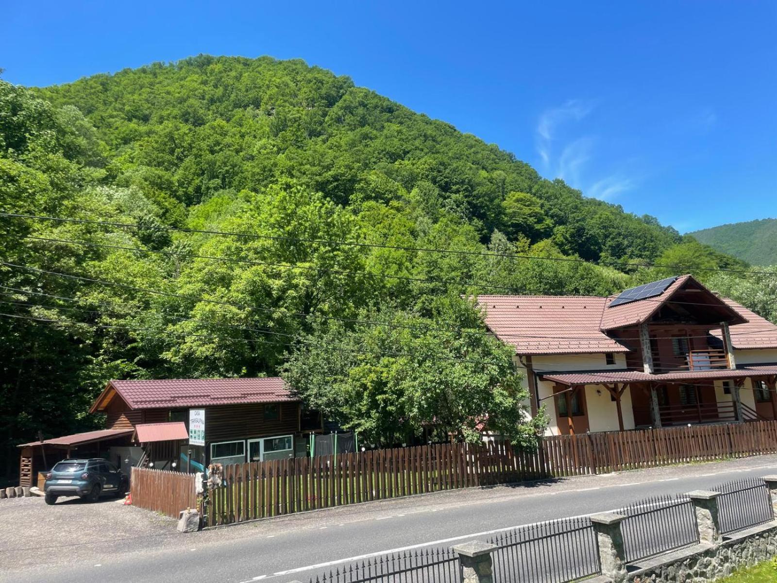 Pensiunea Casa Transalpina Sugag Exterior photo